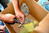 /album/a10-6-2013/dalsi-pan-na-rade-jpg1/